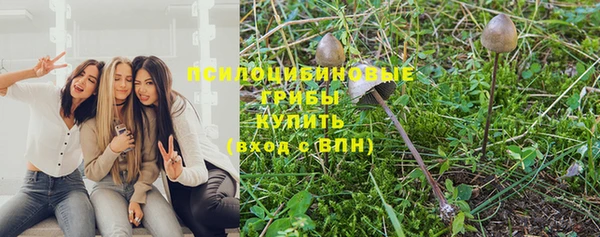 apvp Михайловка
