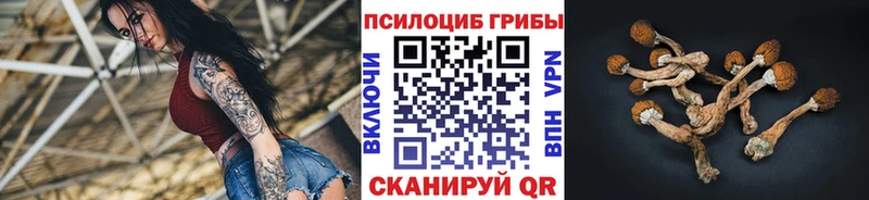 Псилоцибиновые грибы Psilocybe Коряжма