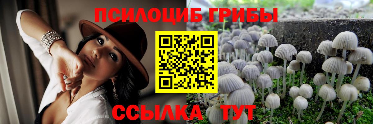 Коряжма  Псилоцибиновые грибы Magic Shrooms  Вход с VPN 